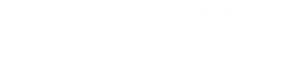 Cropped Logo Footer